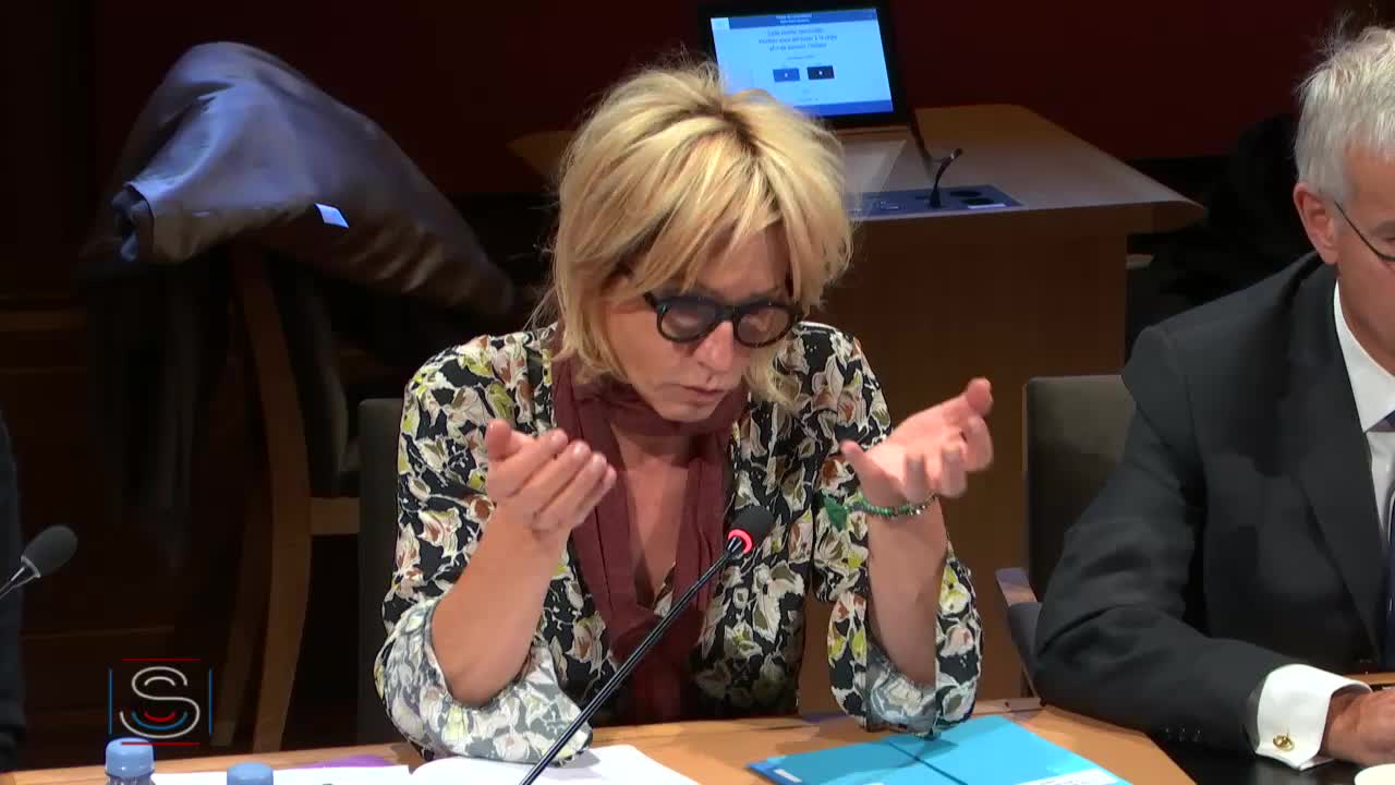 Audition de Mme Agnès Buzyn, ministre des solidarités et de la santé