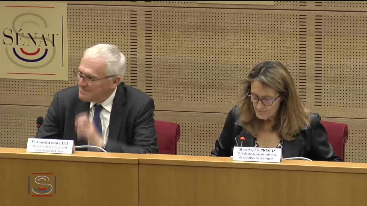 Audition de M. Jean-Bernard Lévy, président-directeur général d’EDF