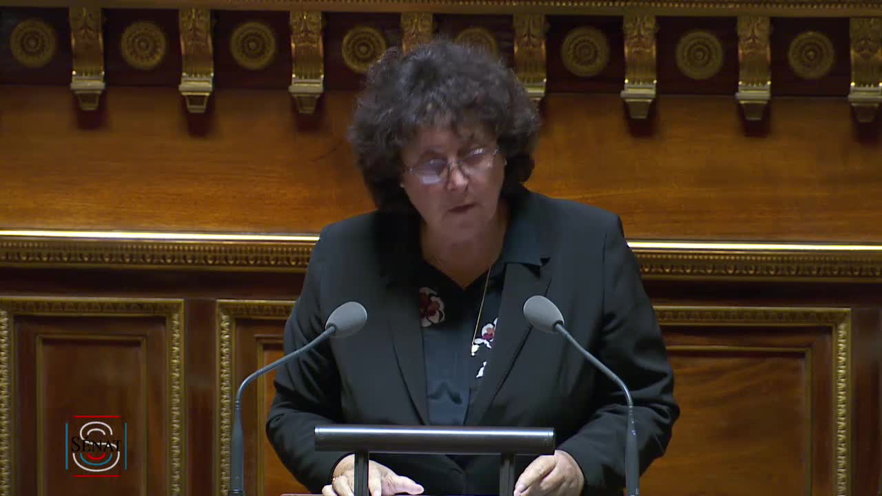 Séance publique du 12 novembre 2019 (après-midi)