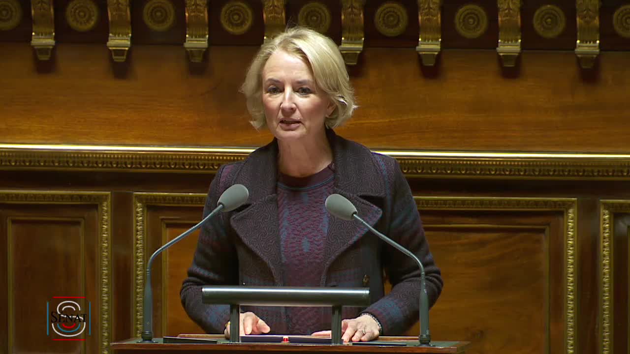 Séance publique du 12 novembre 2019 (après-midi)
