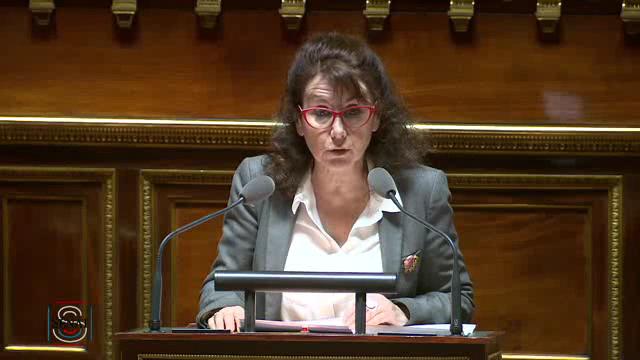 Séance publique du 29 janvier 2015