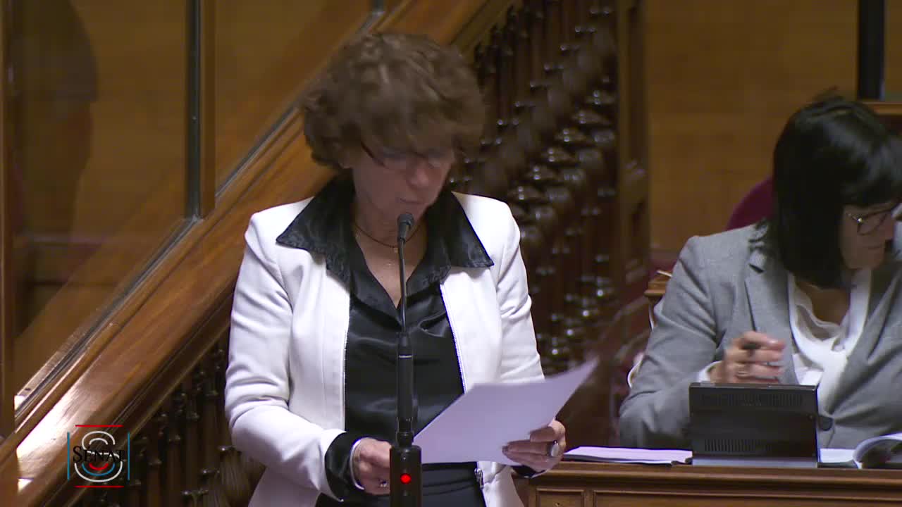 Séance publique du 12 novembre 2019 (soir)