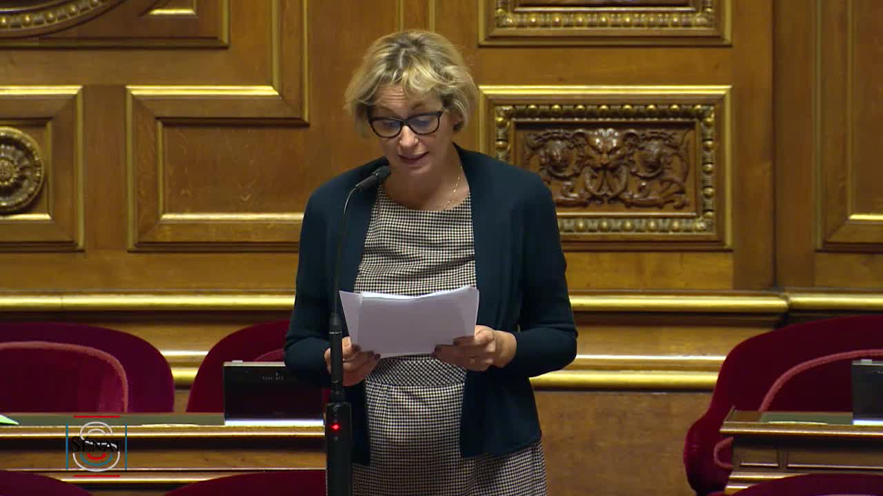 Séance publique du 13 novembre 2019 (après-midi)