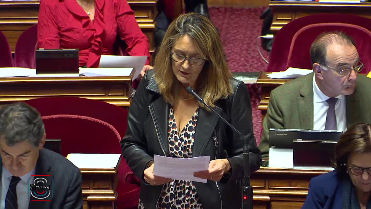 Séance publique du 13 novembre 2019 (après-midi)