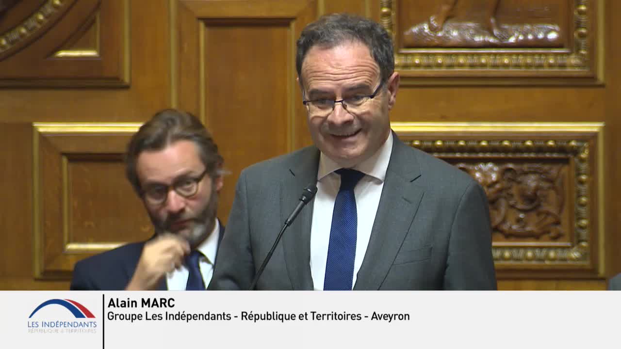 Séance publique du 13 novembre 2019 (après-midi)