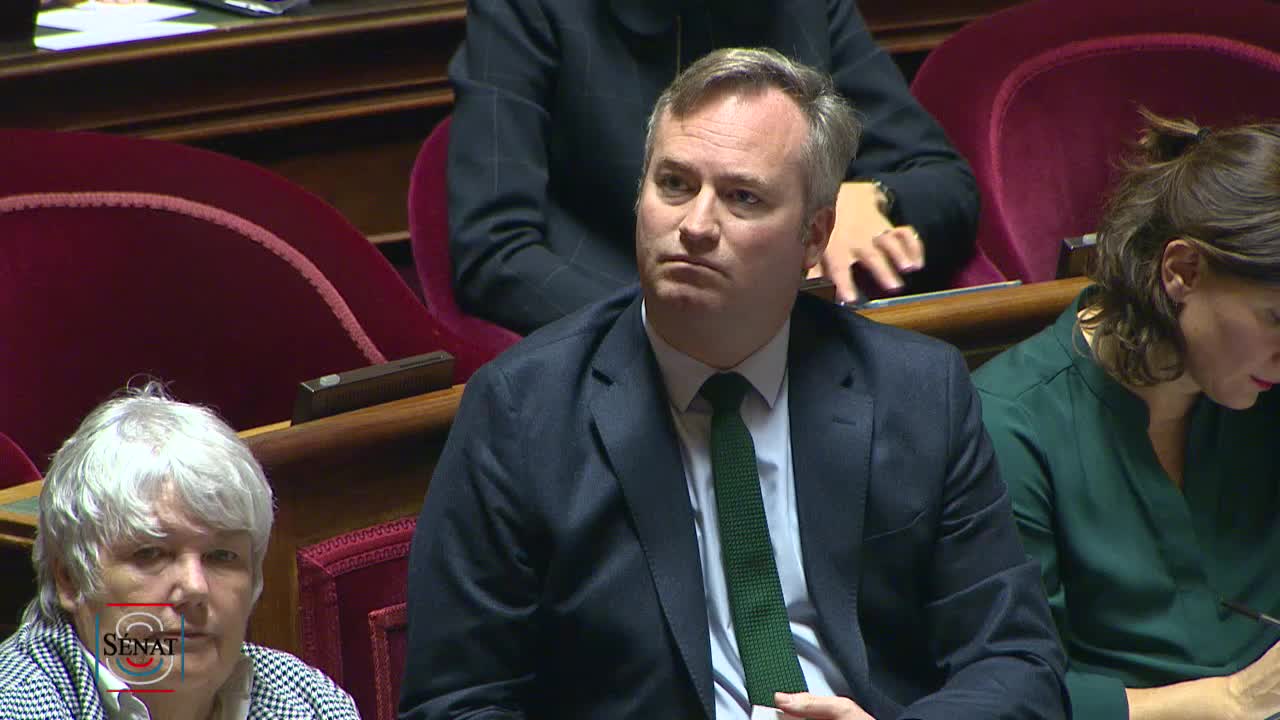 Séance publique du 13 novembre 2019 (après-midi)