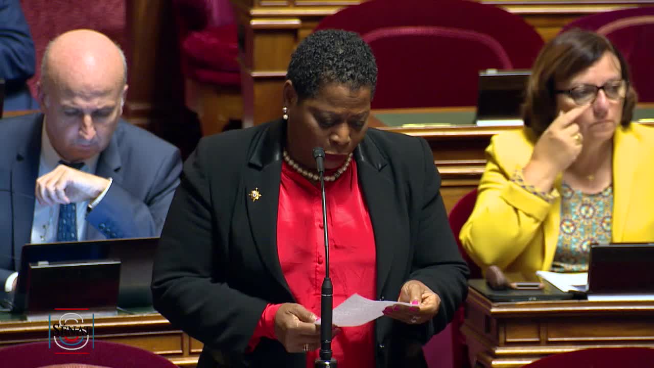 Séance publique du 13 novembre 2019 (après-midi)