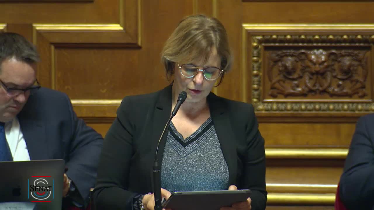 Séance publique du 13 novembre 2019 (soir)