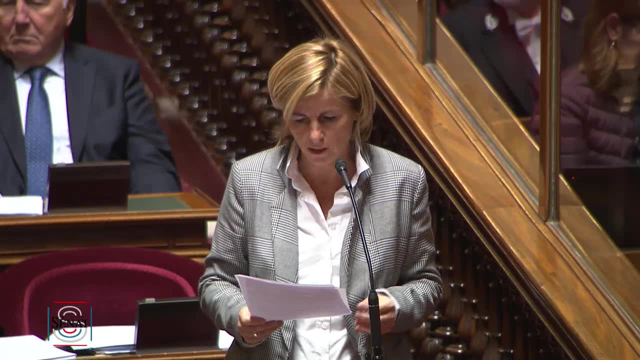 Séance publique du 14 novembre 2019 (après-midi)