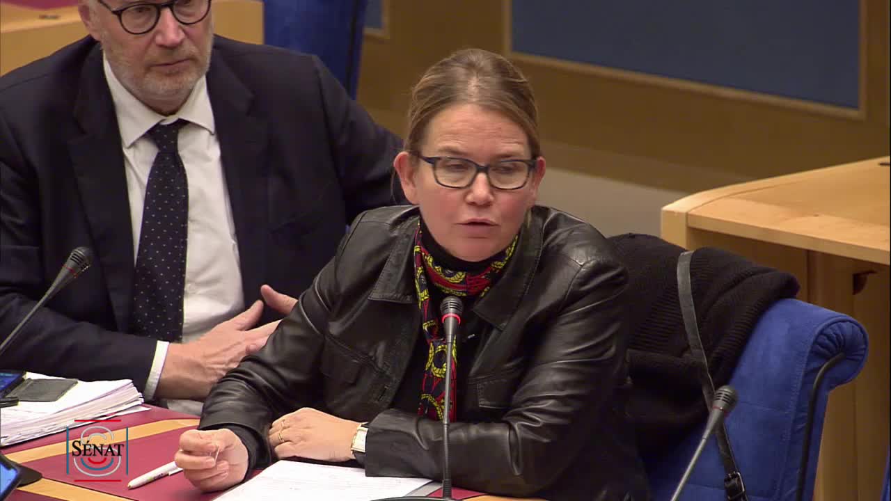 PLF pour 2020 - Audition de Mme Elisabeth Borne, ministre de la Transition écologique et solidaire