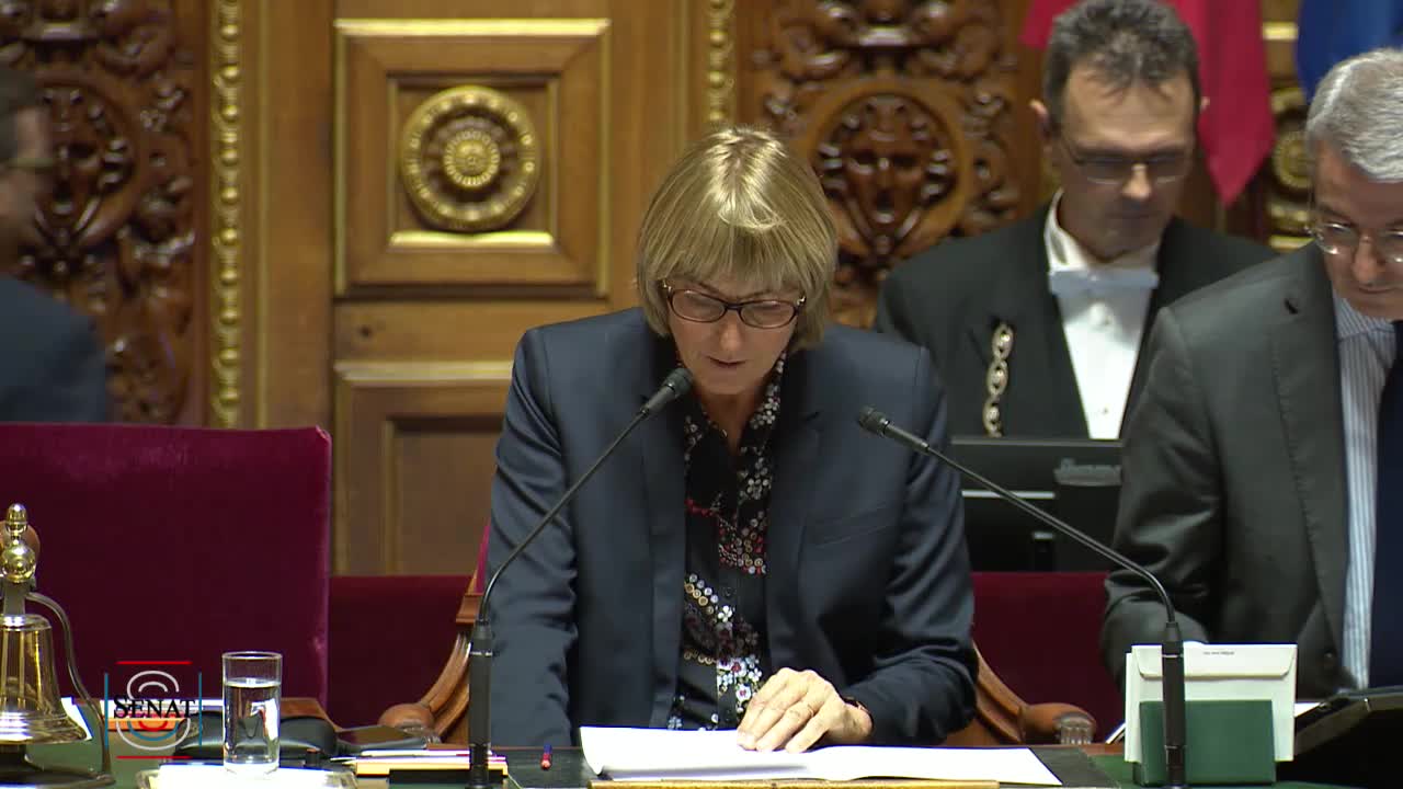 Séance publique du 19 novembre 2019 (après-midi)