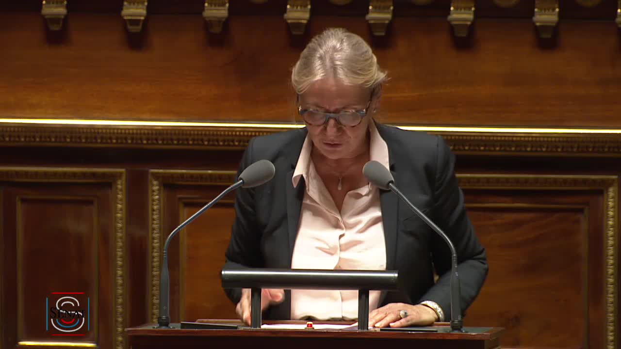 Séance publique du 20 novembre 2019 (après-midi)