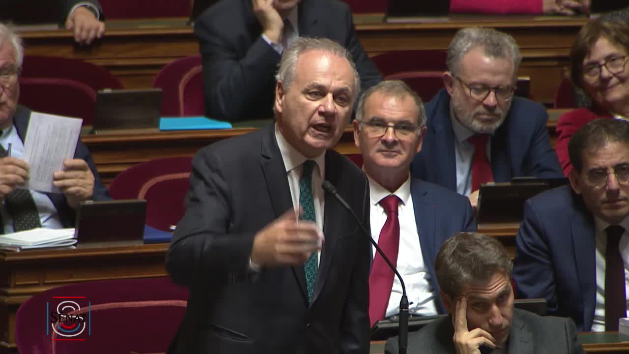 Séance publique du 20 novembre 2019 (après-midi)
