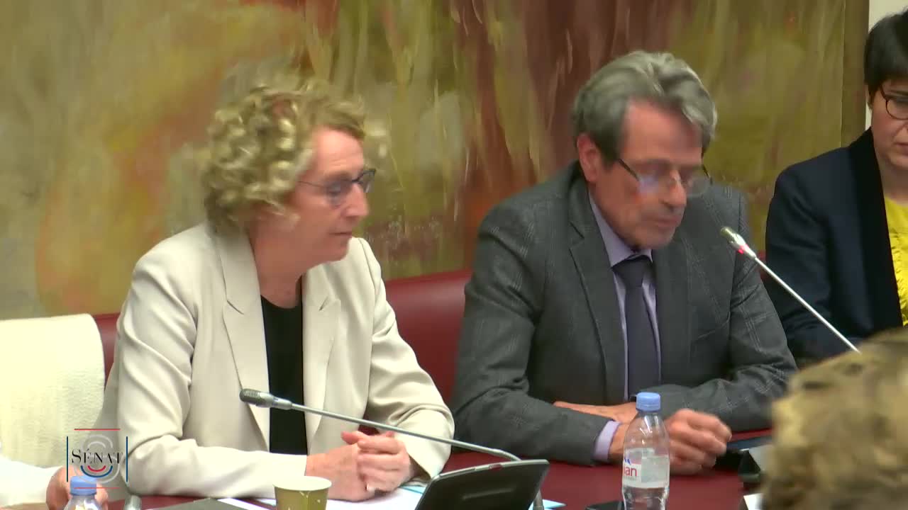Audition de Mme Muriel Pénicaud, ministre du travail, sur le projet de loi de finances pour 2020