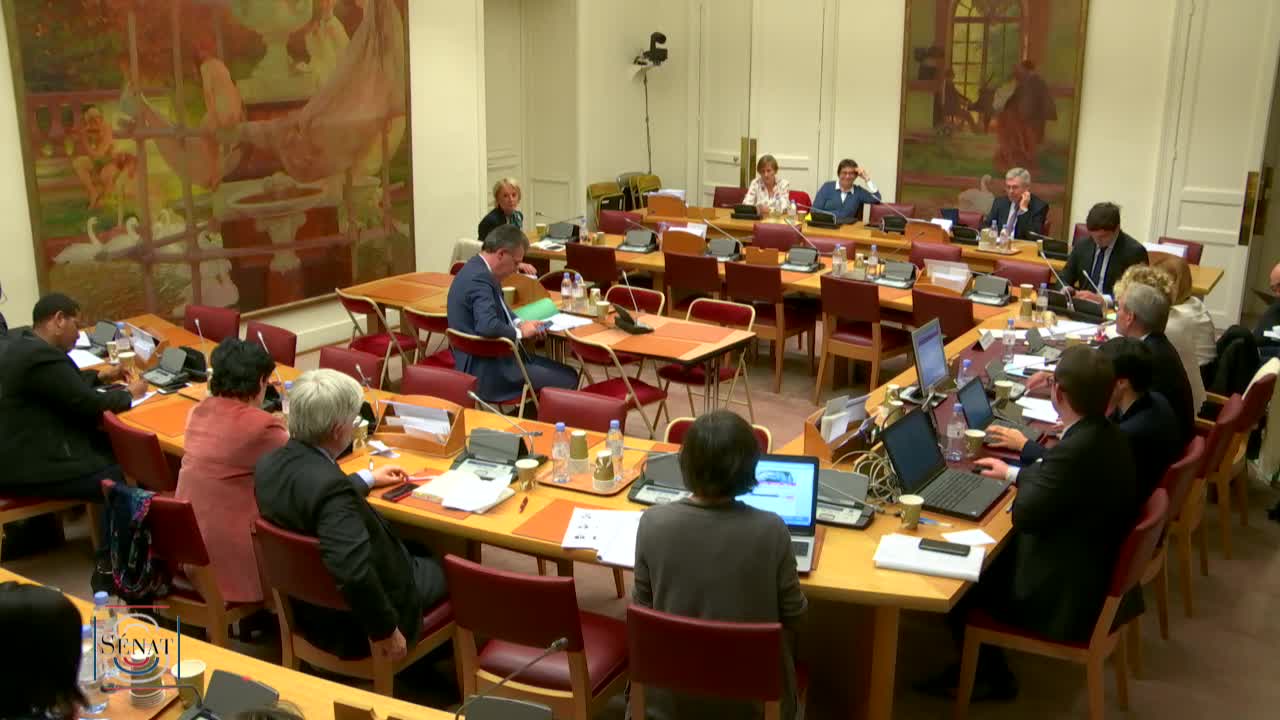 Audition de Mme Muriel Pénicaud, ministre du travail, sur le projet de loi de finances pour 2020