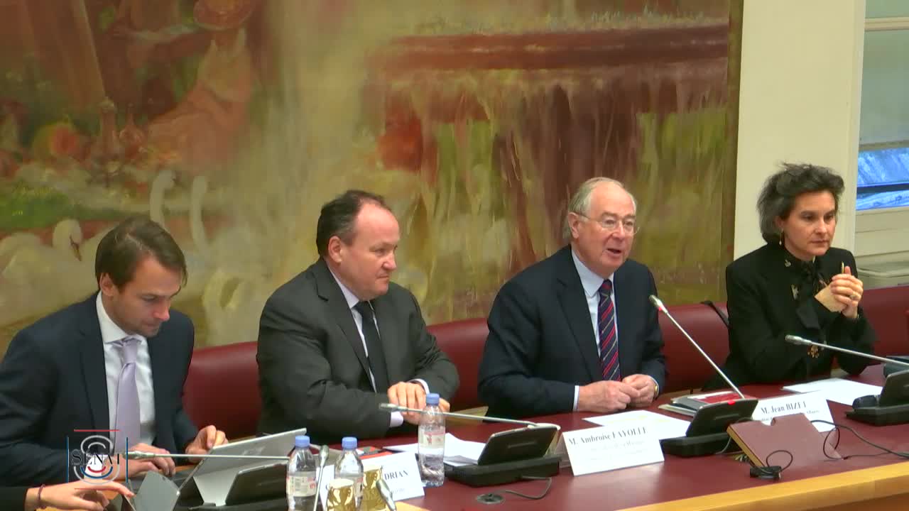 Audition de M. Ambroise Fayolle, vice-président de la Banque européenne d'investissement