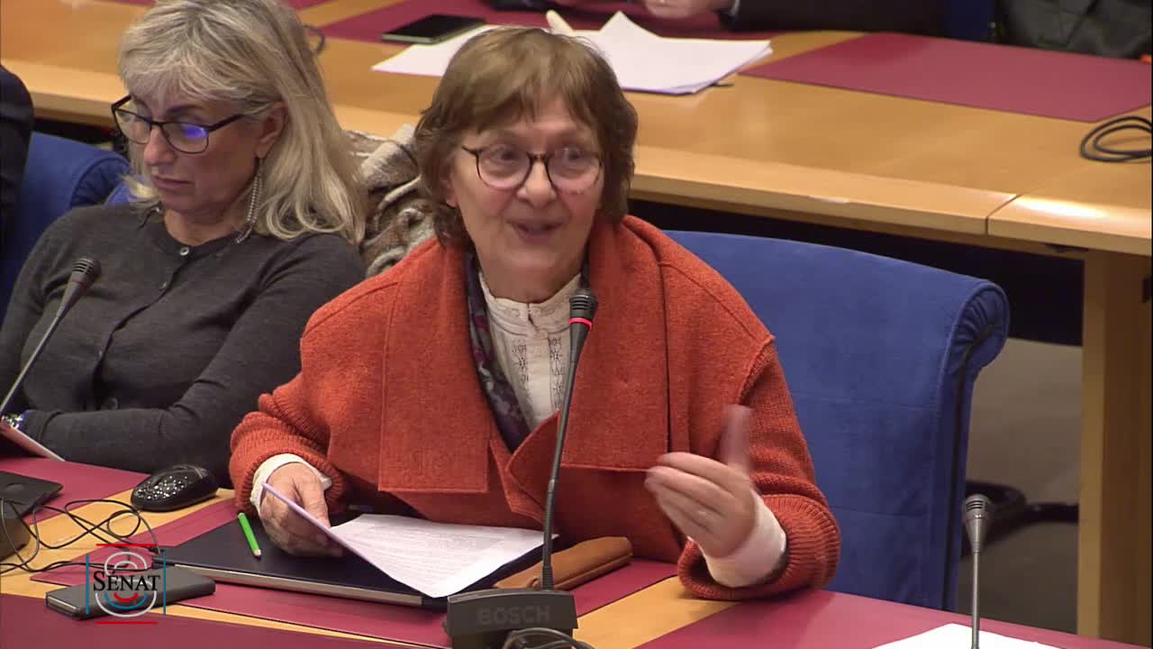 PLF pour 2020 et ANCT - Audition de Mme Jacqueline Gourault, ministre de la Cohésion des territoires et des Relations avec les collectivités territoriales