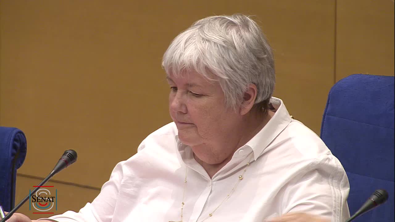 PLF Budget 2020 - Audition de Mme Gourault sur le PJLF 2020 - Relation avec les collectivités territoriales