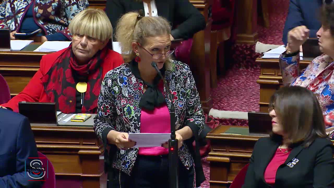 Séance publique du 26 novembre 2019 (après-midi)