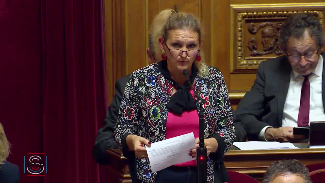 Séance publique du 26 novembre 2019 (après-midi)