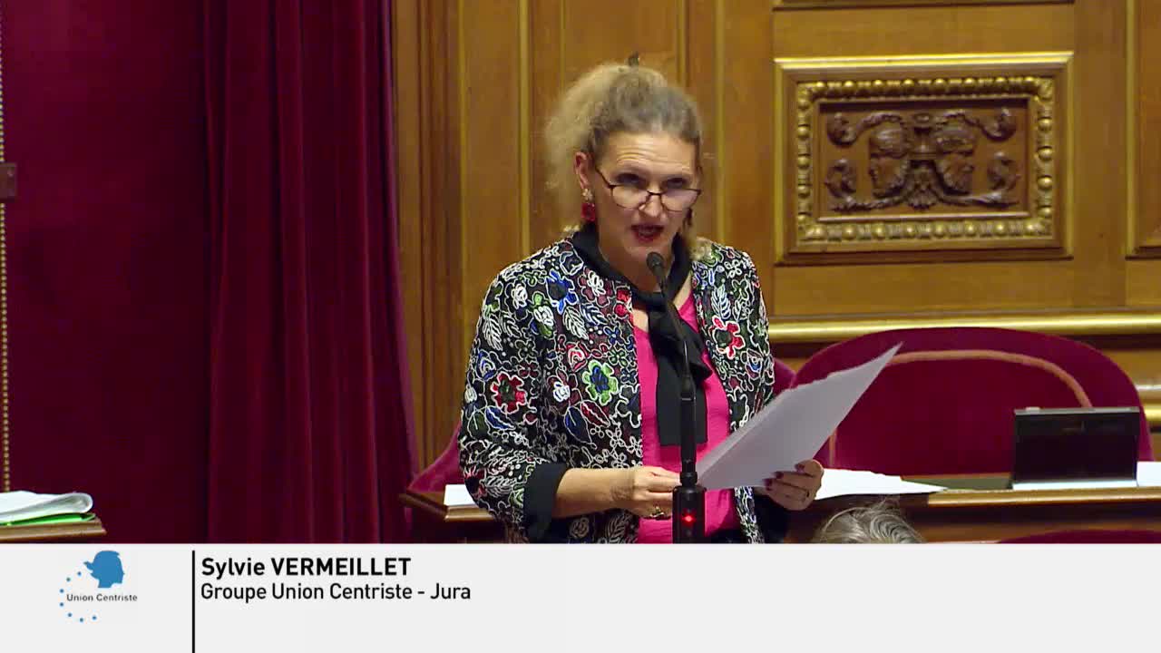 Séance publique du 26 novembre 2019 (soir)