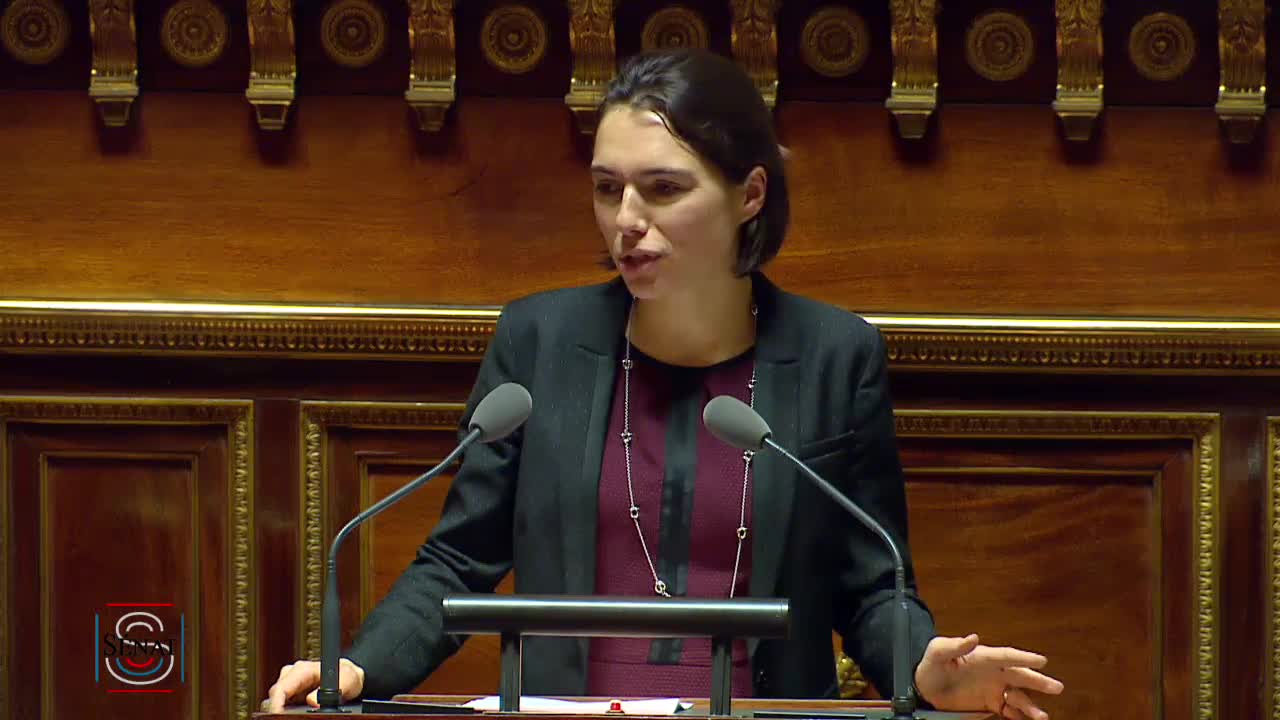 Séance publique du 26 novembre 2019 (soir)