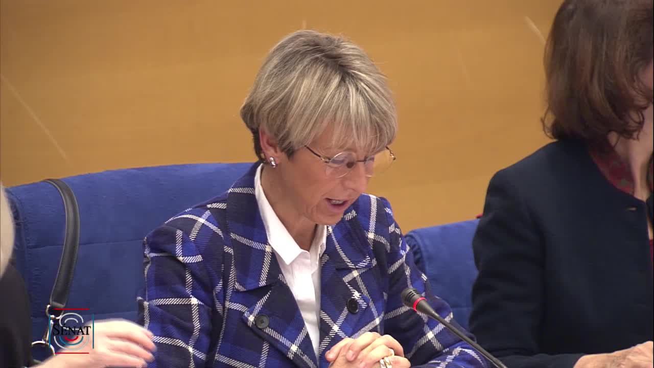 Audition plénière - Violences faites aux femmes dans les conflits armés