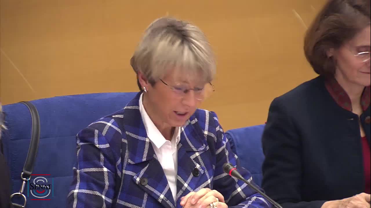 Audition plénière - Violences faites aux femmes dans les conflits armés