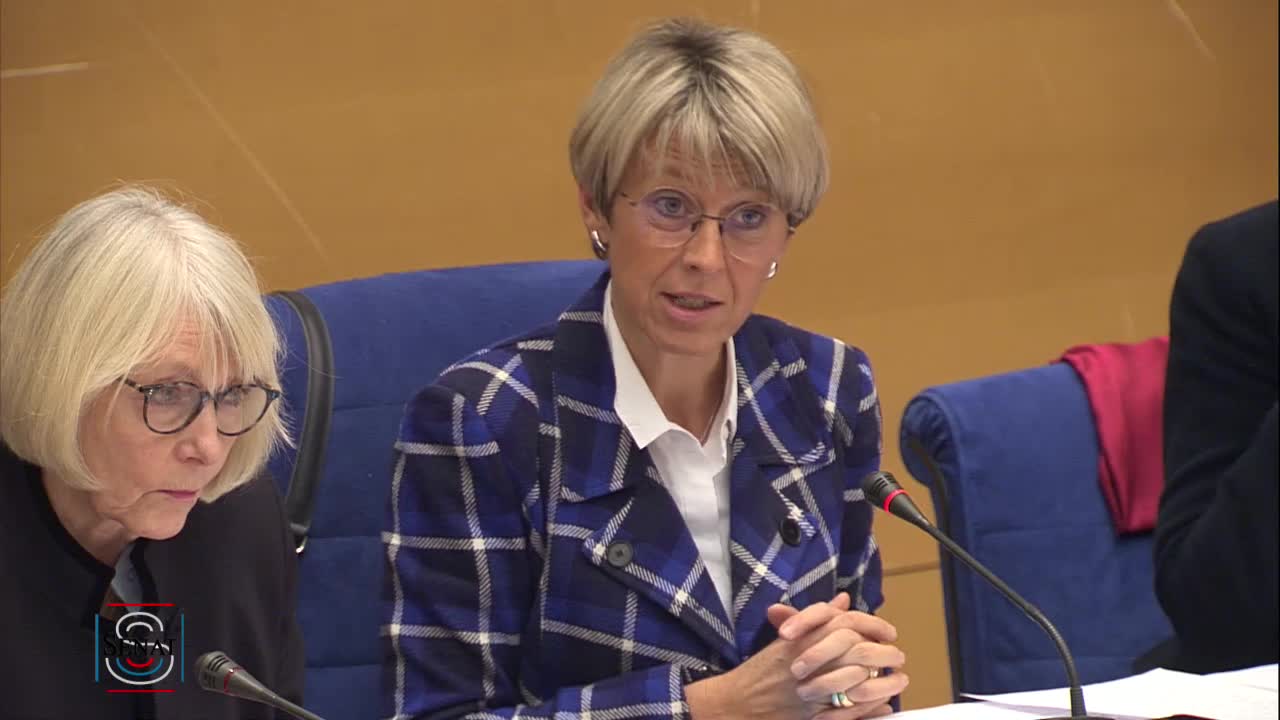 Audition plénière - Violences faites aux femmes dans les conflits armés