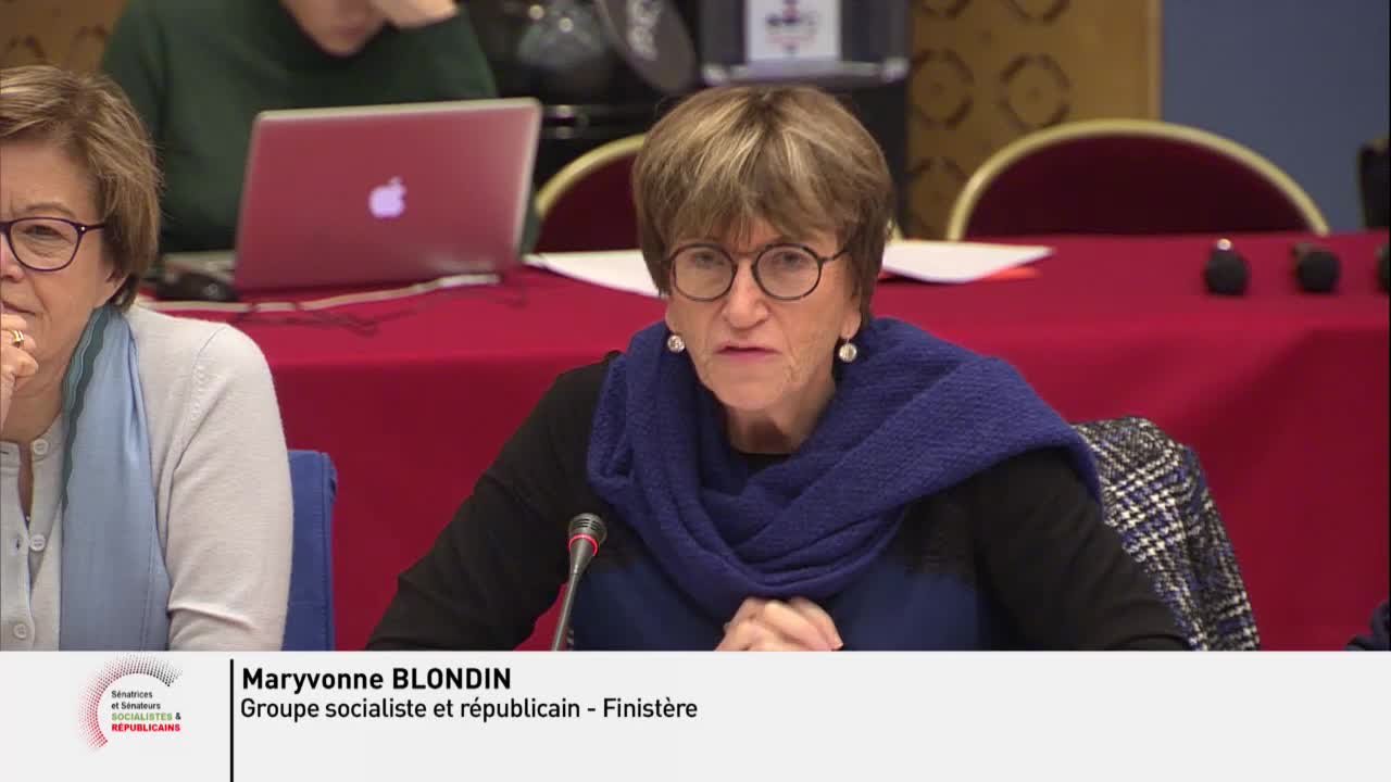 Audition plénière - Violences faites aux femmes dans les conflits armés