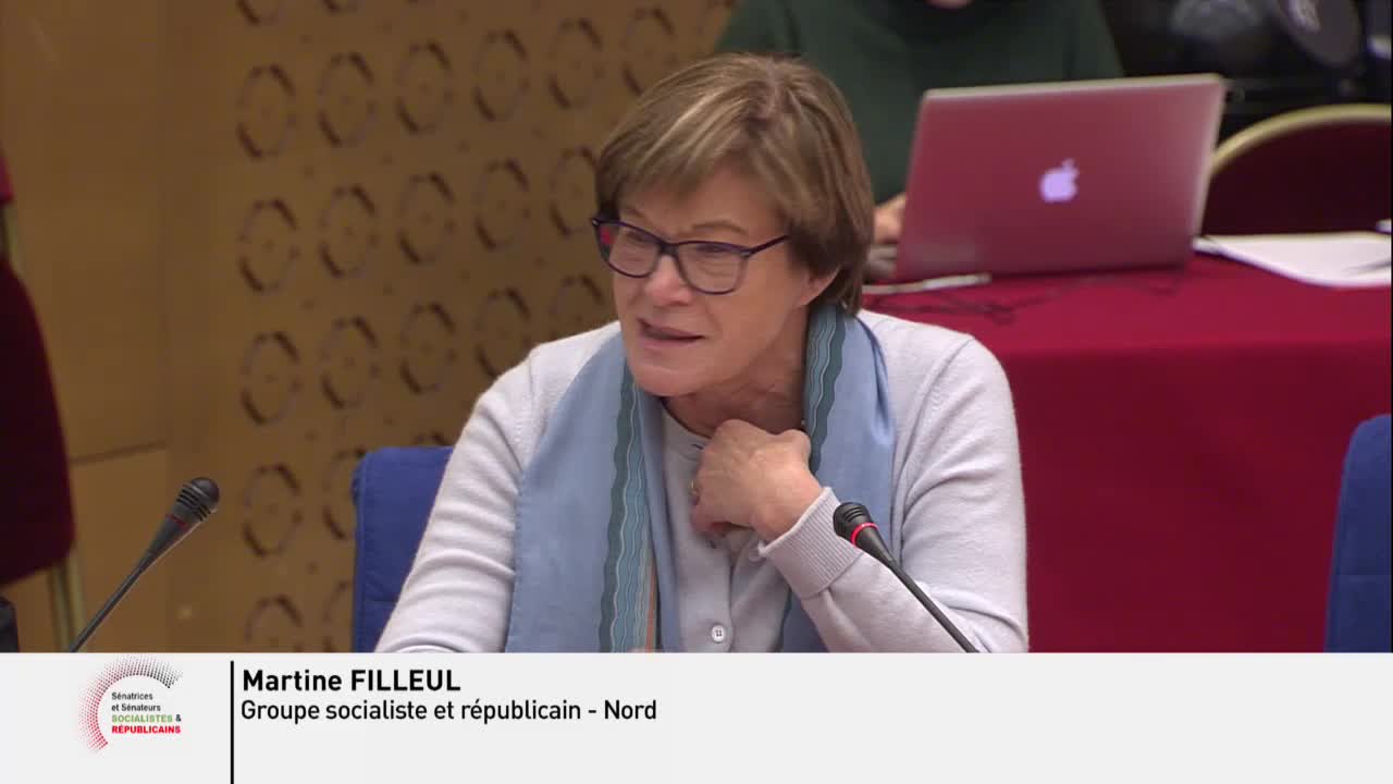 Audition plénière - Violences faites aux femmes dans les conflits armés