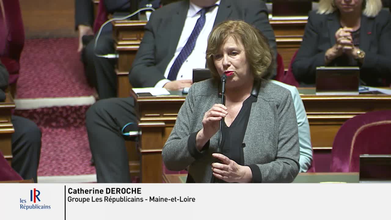 Séance publique du 27 novembre 2019 (après-midi)
