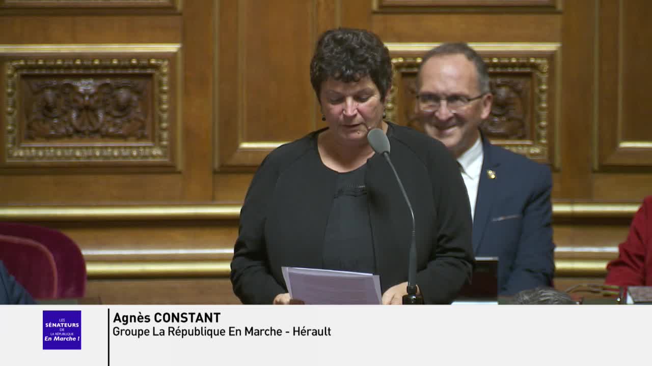 Séance publique du 27 novembre 2019 (après-midi)
