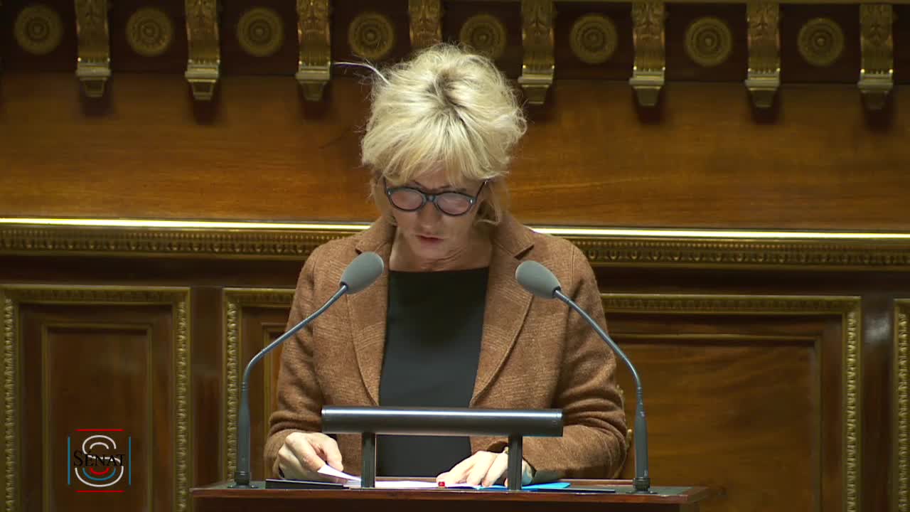 Séance publique du 27 novembre 2019 (après-midi)
