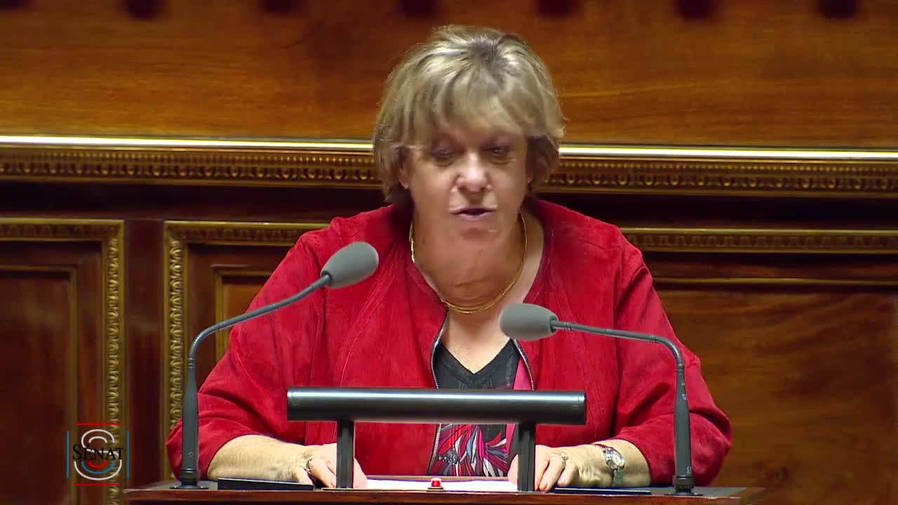 Séance publique du 27 novembre 2019 (soir)