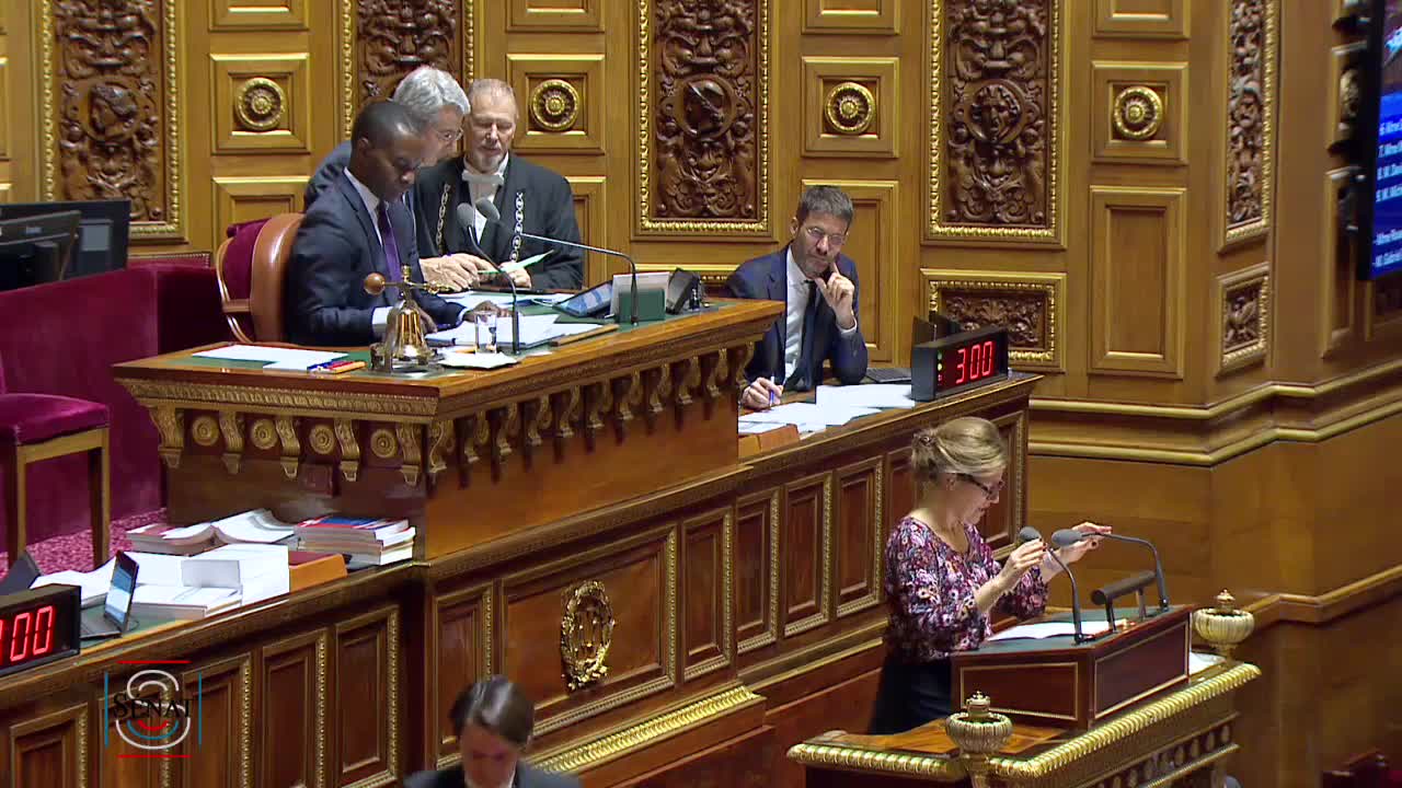 Séance publique du 28 novembre 2019 (matin)
