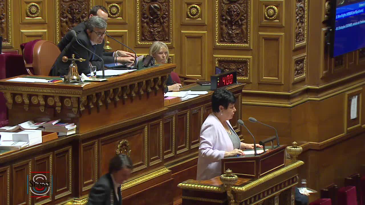 Séance publique du 28 novembre 2019 (après-midi)