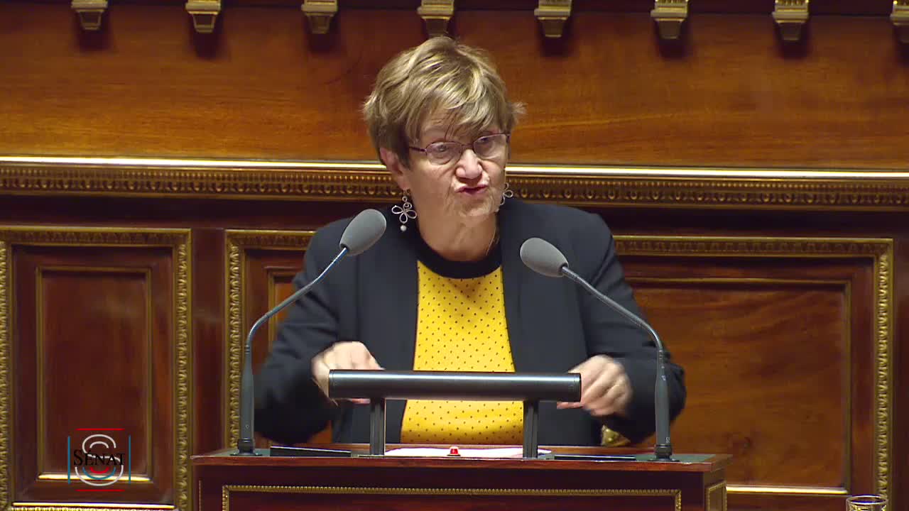 Séance publique du 28 novembre 2019 (après-midi)