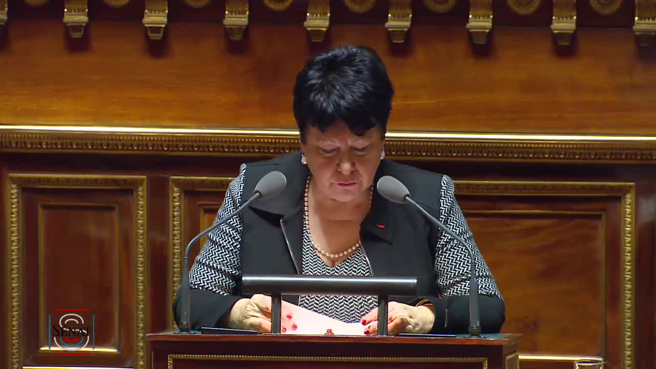 Séance publique du 28 novembre 2019 (après-midi)