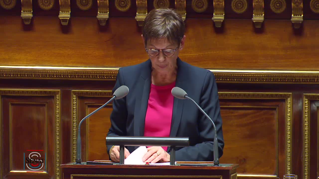 Séance publique du 28 novembre 2019 (soir)