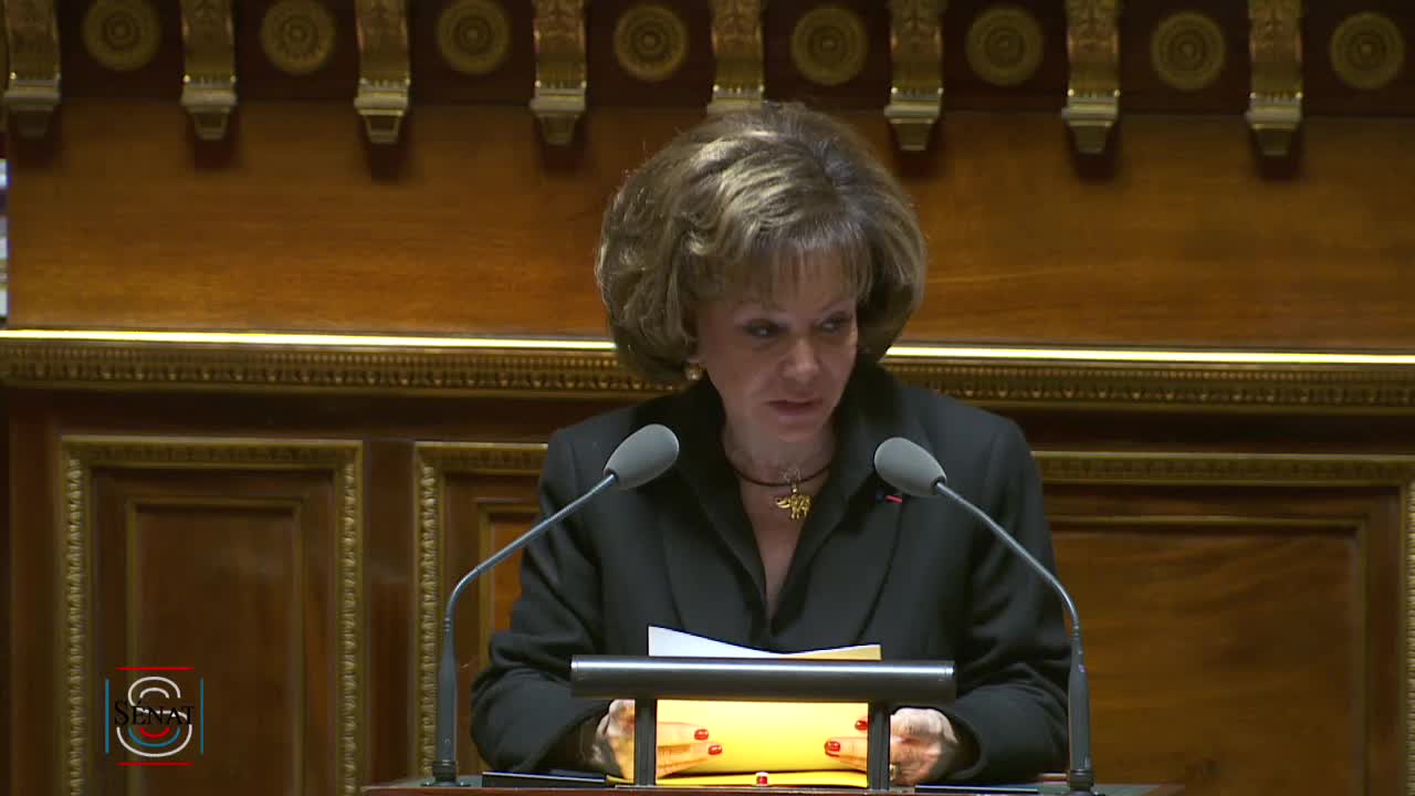 Séance publique du 29 novembre 2019 (matin)