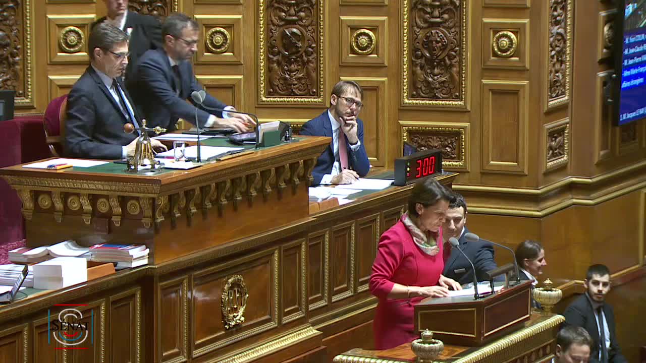 Séance publique du 29 novembre 2019 (après-midi)