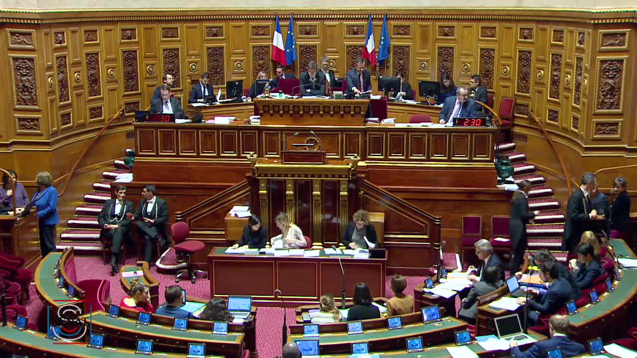 Séance publique du 29 novembre 2019 (après-midi)