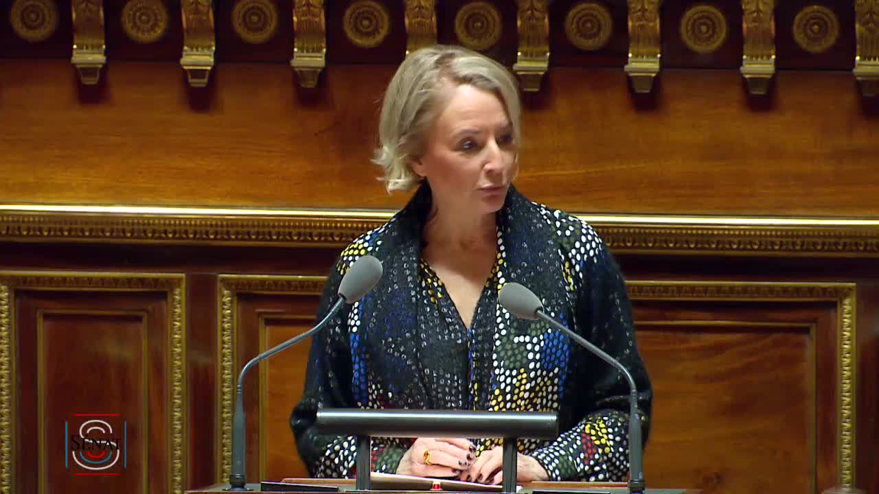 Séance publique du 29 novembre 2019 (après-midi)