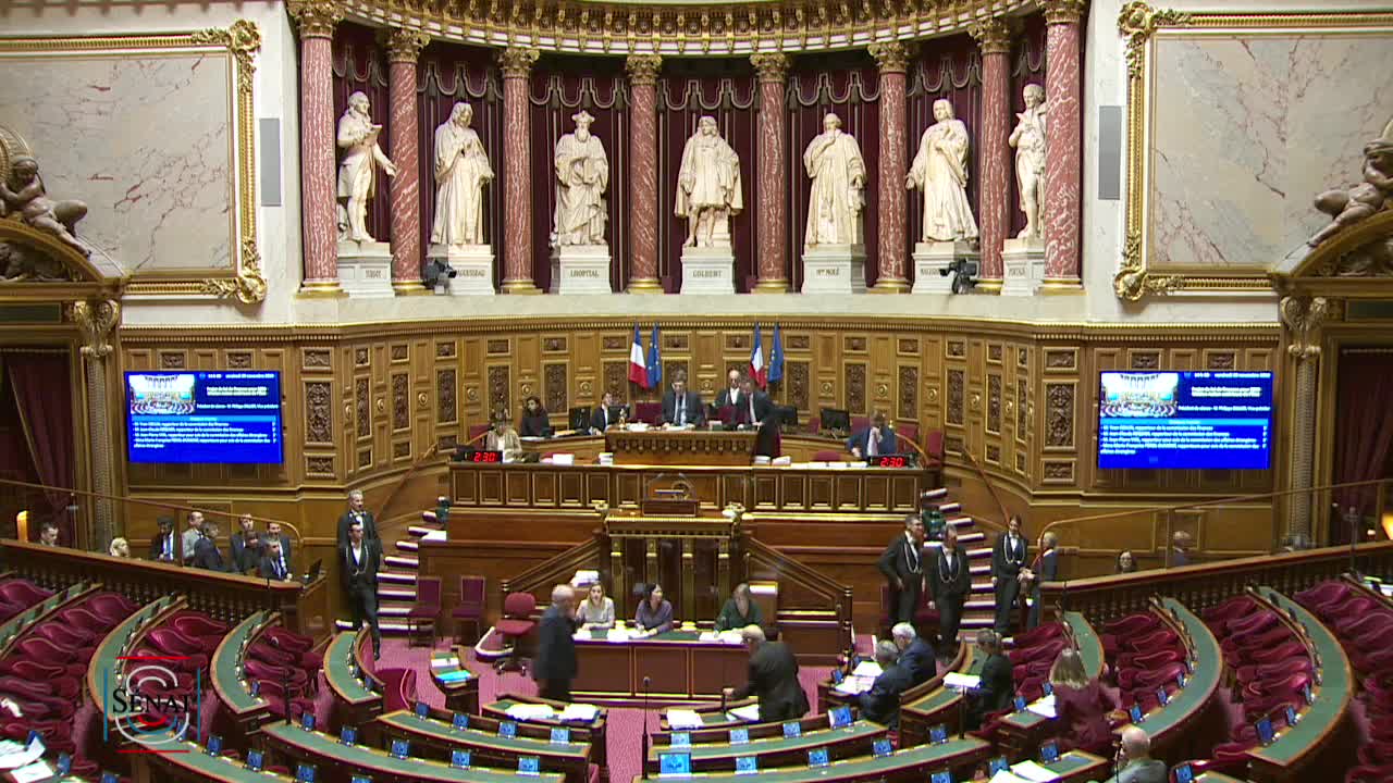 Séance publique du 29 novembre 2019 (après-midi)