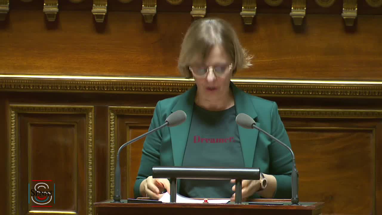 Séance publique du 29 novembre 2019 (après-midi)