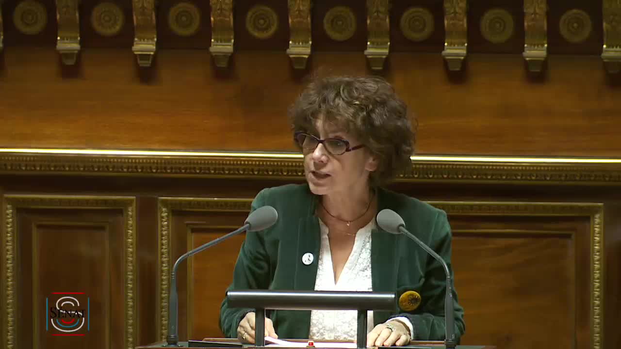 Séance publique du 29 novembre 2019 (après-midi)