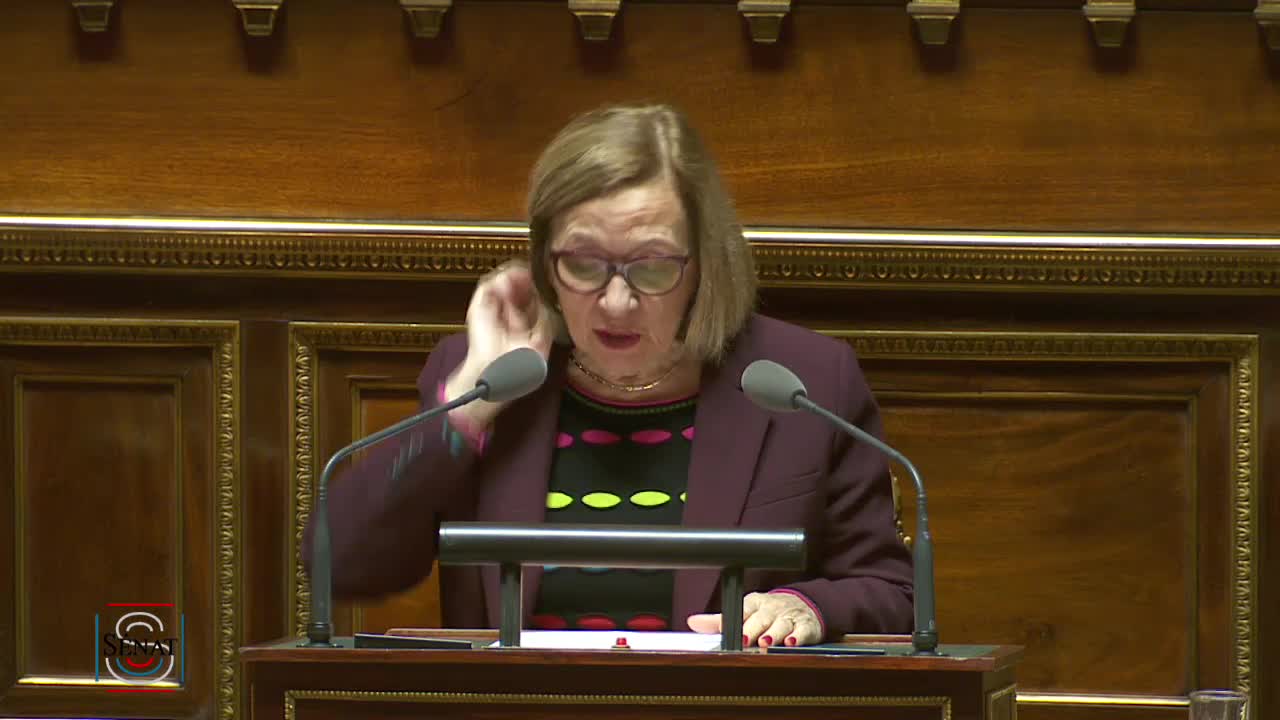 Séance publique du 29 novembre 2019 (après-midi)