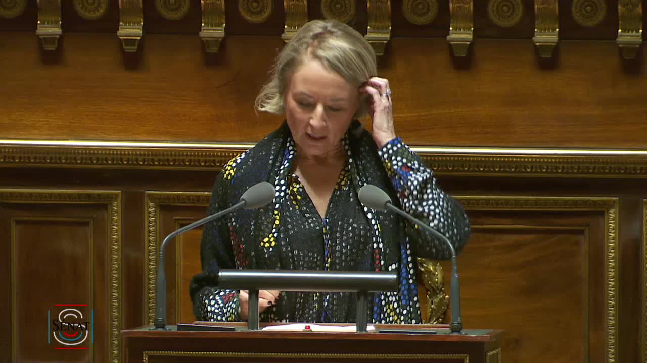 Séance publique du 29 novembre 2019 (après-midi)