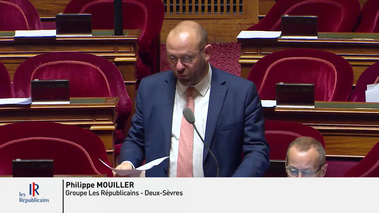 Séance publique du 29 novembre 2019 (soir)